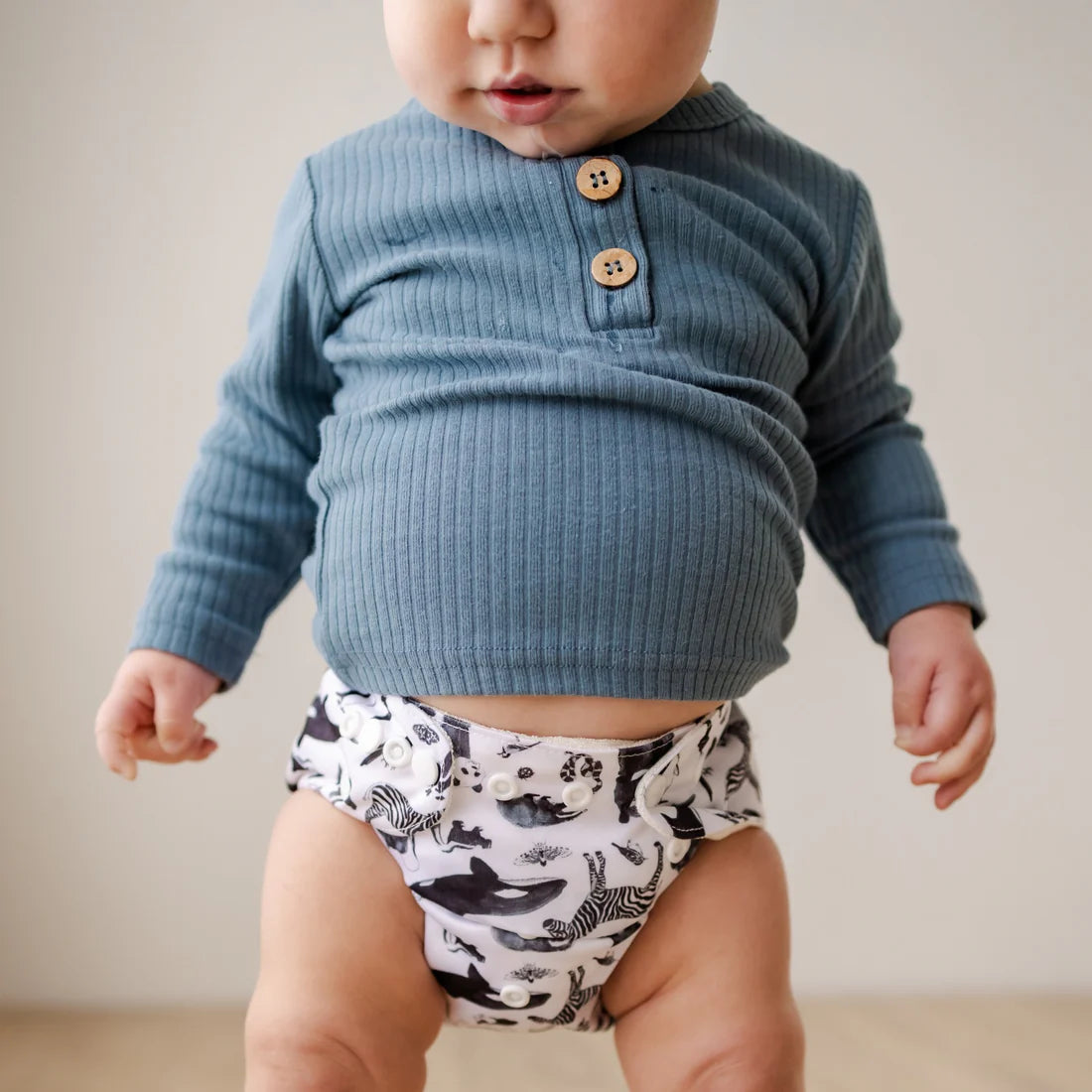 Bear and Moo OSFM Nappy