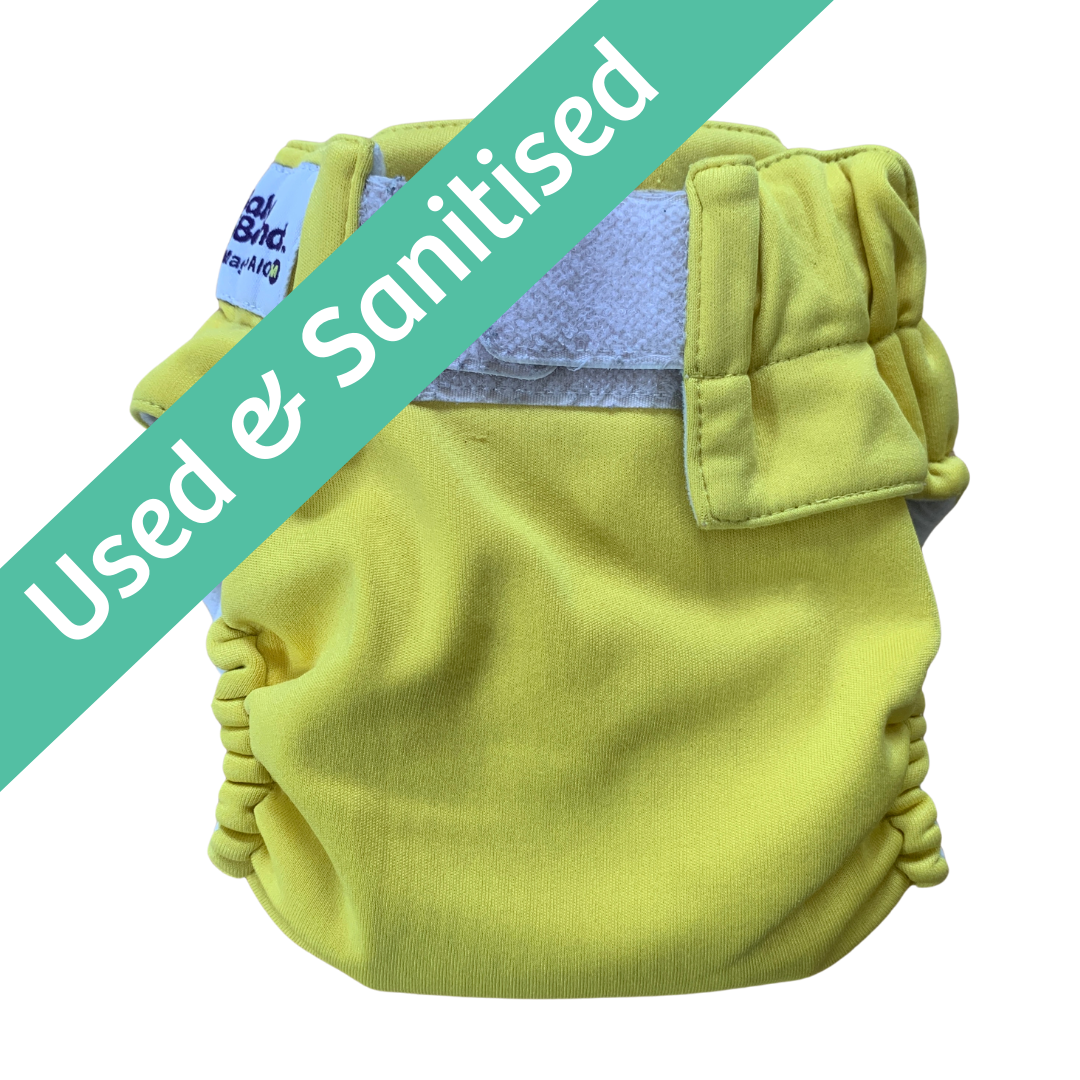 Baby BeeHinds Magicall All-In-One- Medium/Large