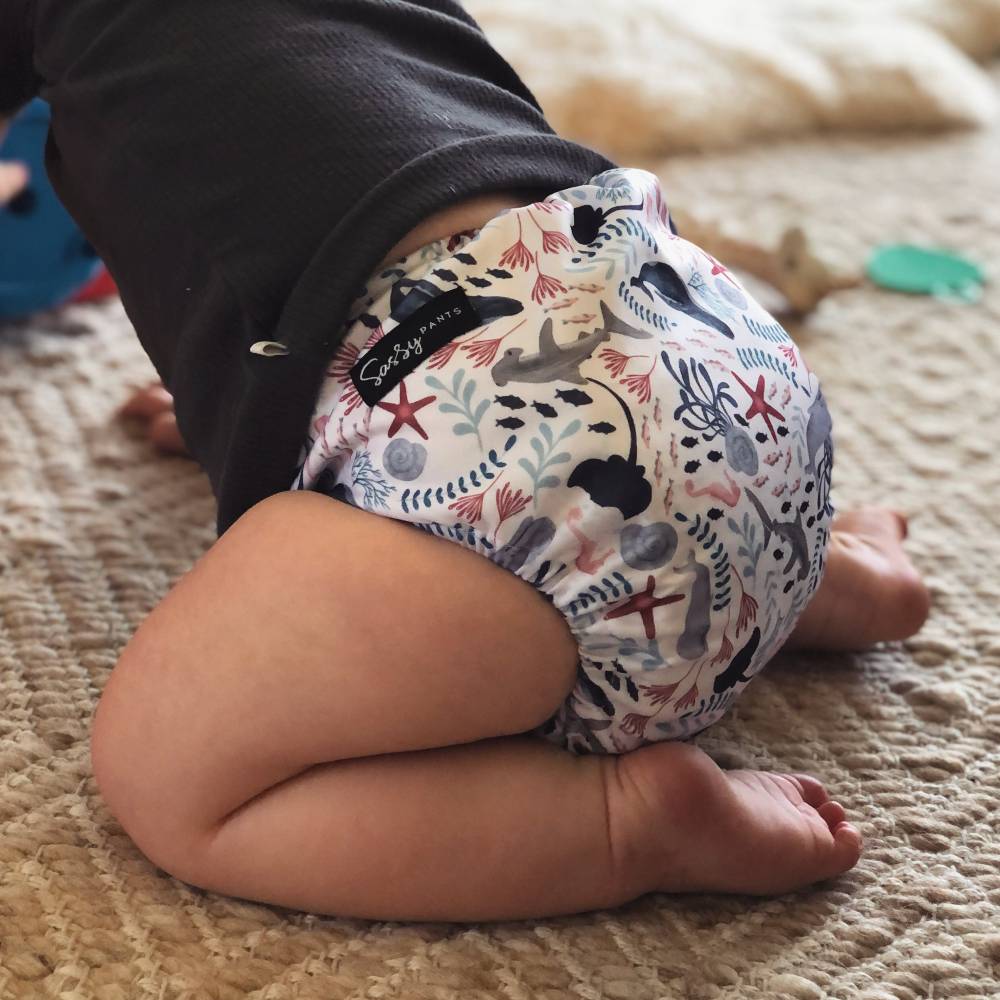 Nestling Sassy Snaps Nappy