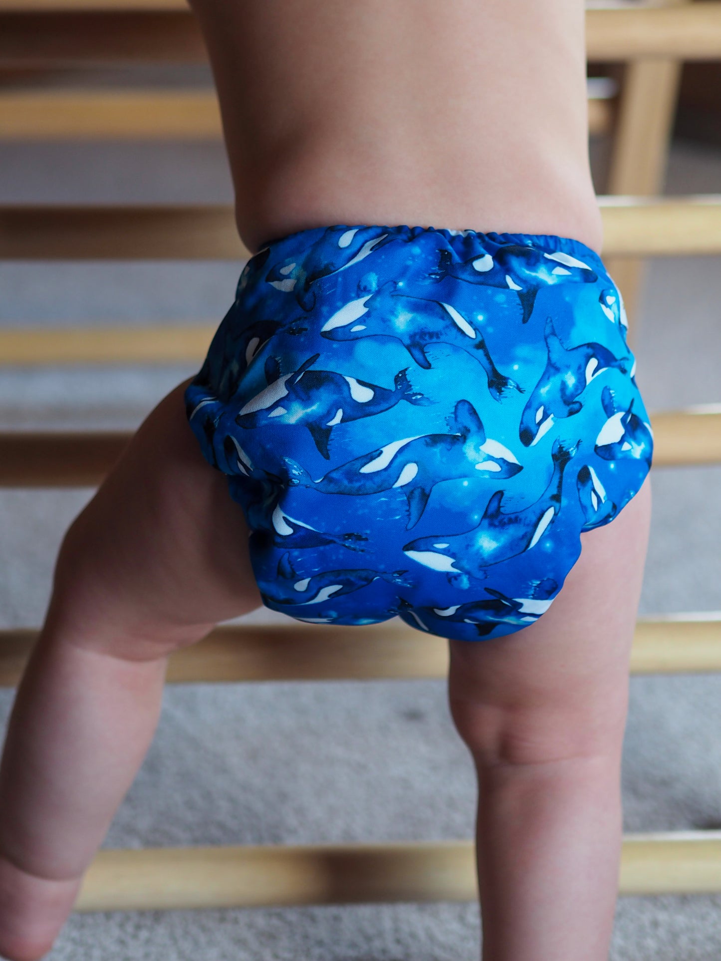 Baby Bare Bare Cub All-In-Two