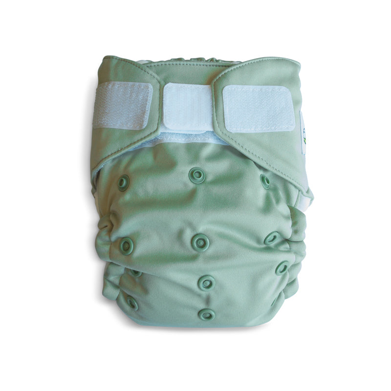 Baby BeeHinds Magicall All-In-Two- Velcro