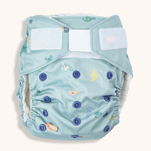 Baby BeeHinds Magicall All-In-Two- Velcro